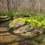 #Spring has sprung on the #GreenbeltTrail from this afternoons #Hike #Photo 