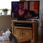 Relaxed op de bank SamSam kijken. Ik voel een 'programma gemist-dagje' opkomen.