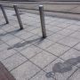 Shadowplay