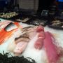 we love fish... dead or alive