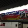 Absolutely freaking brilliant ad for @TheKrollShow satirizes over-the-top NYC subway ads for over-the-top dermatologist