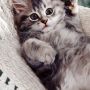 “@Lena09_love: @Veronika_Lua Аааа )) Обнимашки ваааааамммммм (❤) *****”крепко!!