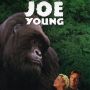 Day 198
#365FilmsILikeButGetNoLuv Who liked MIGHTY JOE YOUNG?
http://youtu.be/WY-ecXeTnoM
#FB