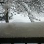 I just checked the snowfall updates from last night. My town got 15.3” in all. Here’s some proof. 