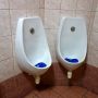 není to vidět, ale mušle jsou úplně vedle sebe v rohu #lol #fail #nechapu