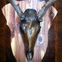 @spreadingJOY http://www.skmoore2.wix.com/moorebones Creating An Art Of Its Own SEMS BONES !