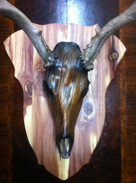 @spreadingJOY http://www.skmoore2.wix.com/moorebones Creating An Art Of Its Own SEMS BONES !
