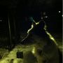 Backlit at the park at night. 