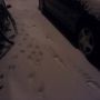 Horrorsneeuw