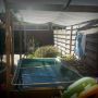 Het schaduw doek hangt er weer. Te veel zon... :) lading draadalgen weer :( #koi #vijver