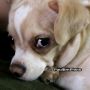 Its ELTON JOHN's birthday & the 4th anniversary of my getting little #Rosie :-) #paulpic #HappyBirthdayEJ