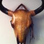 @livingartstulsa http://www.skmoore2.wix.com/moorebones Creating An Art Of Its Own SEMS BONES !