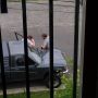 These guys are fixing a busted side mirror on the car  I wonder how that happened? Nowt to do with beers at 3pm right?