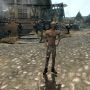 Oh, in #Skyrim zijn Couriers tegenwoordig naakt, of bijna tenminste. :')