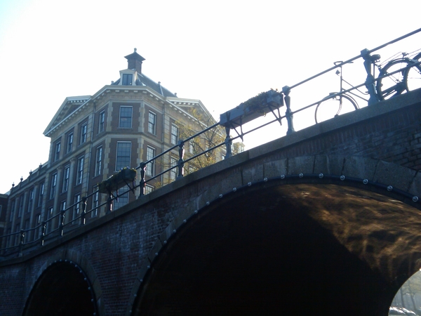 Plants on the bridge